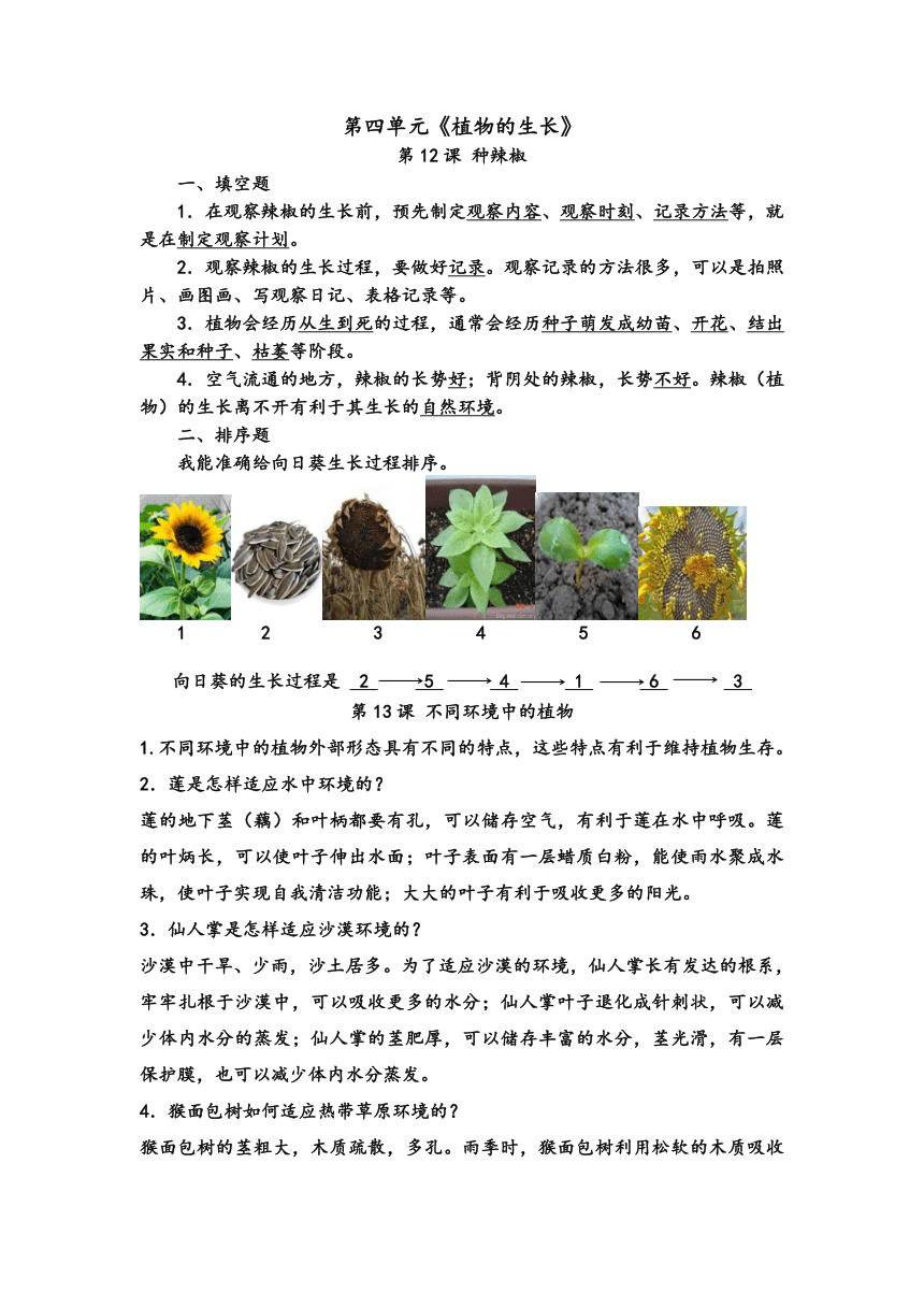 青岛版（六三制2017秋）四年级科学下册 第四单元《植物的生长》知识点