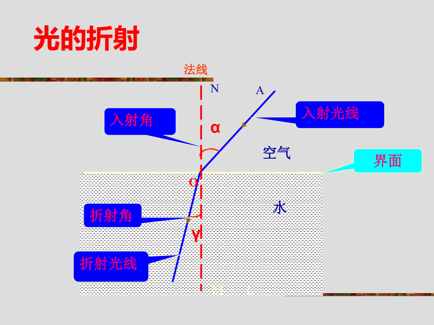 教科版八年级物理上册 4.4 光的折射课件 课件（共23张）