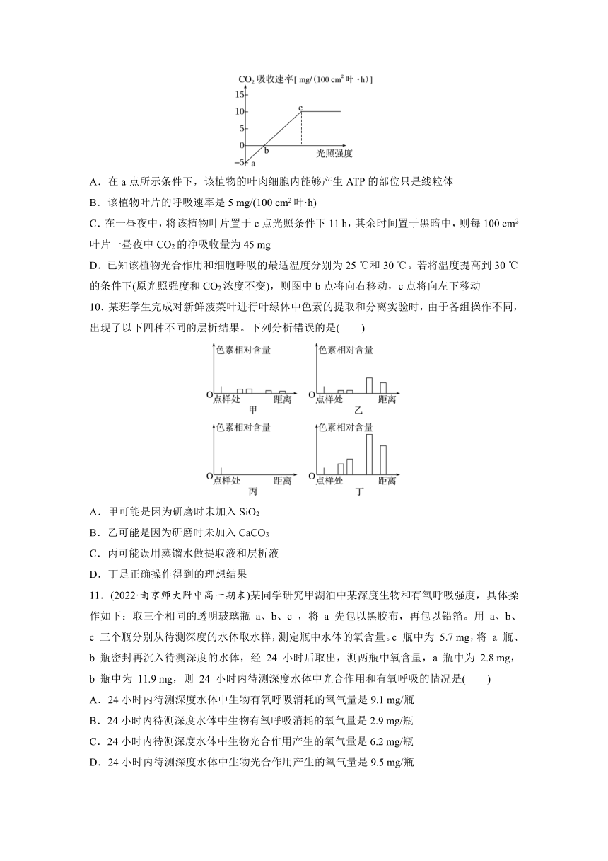 2022-2023学年苏教版2019高中生物必修1 模块检测试卷(二)（word含解析）