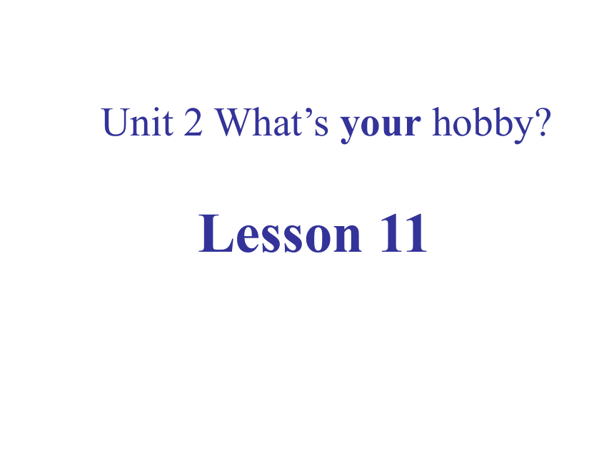 Unit 2 What's your hobby？（Lesson11) 课件（57张PPT）