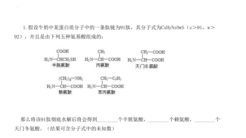 04 蛋白质和核酸-2024年高考生物一轮复习（新教材新高考）（共20张PPT)