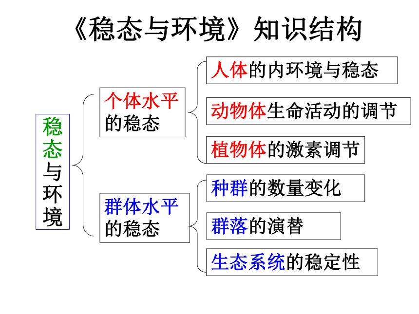 &3.1.1 细胞生活的环境（课件+习题精练）（共56张PPT）