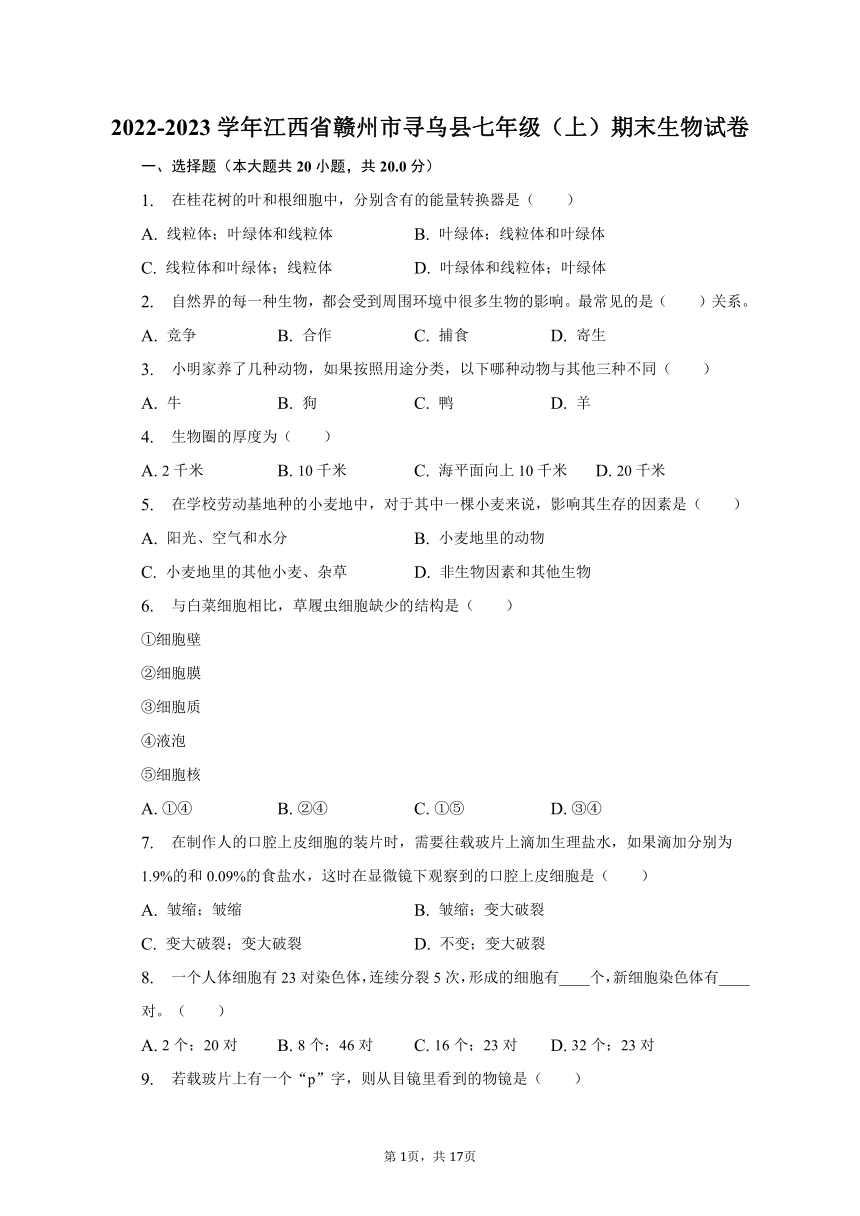 2022-2023学年江西省赣州市寻乌县七年级（上）期末生物试卷（含解析）