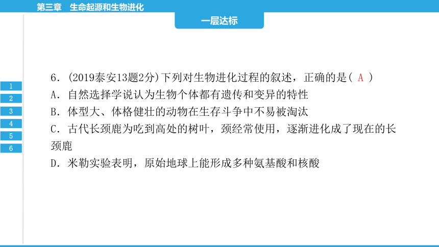 第七单元  第三章　生命起源和生物进化-2023年中考生物复习习题课件（共18张PPT）（人教版）