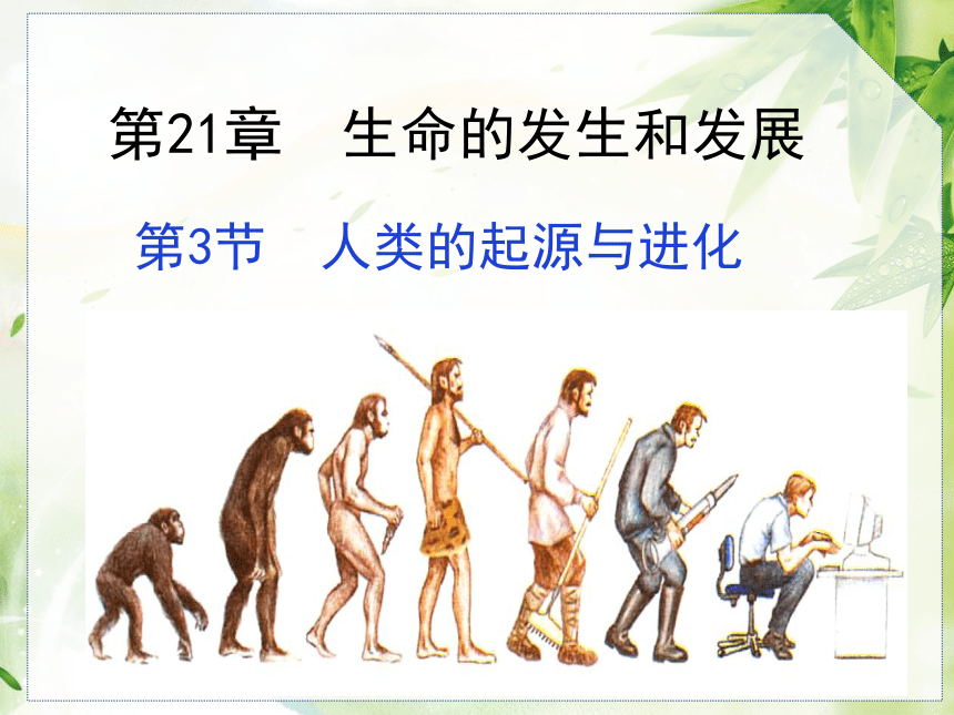 北师大版 7.21.3 人类的起源与进化 课件（46张PPT）