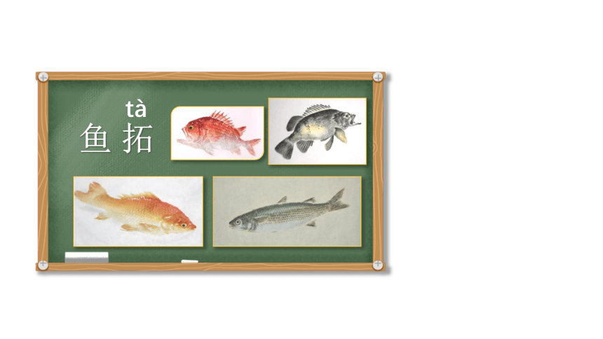 第9课 鱼的纹样（课件） 美术四年级上册  苏少版（36张）
