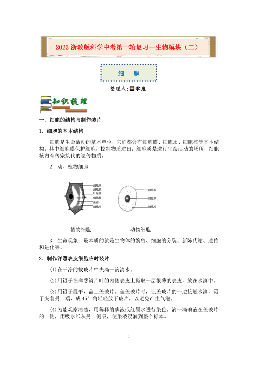 【备考2023】浙教版科学中考第一轮复习--生物模块（二）：细胞【word，含答案解析】