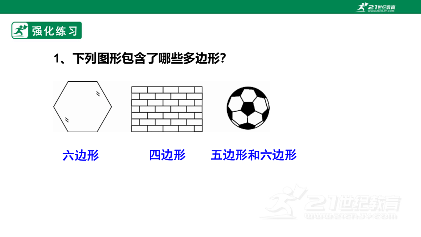 11.3.1多边形   课件（22张PPT）