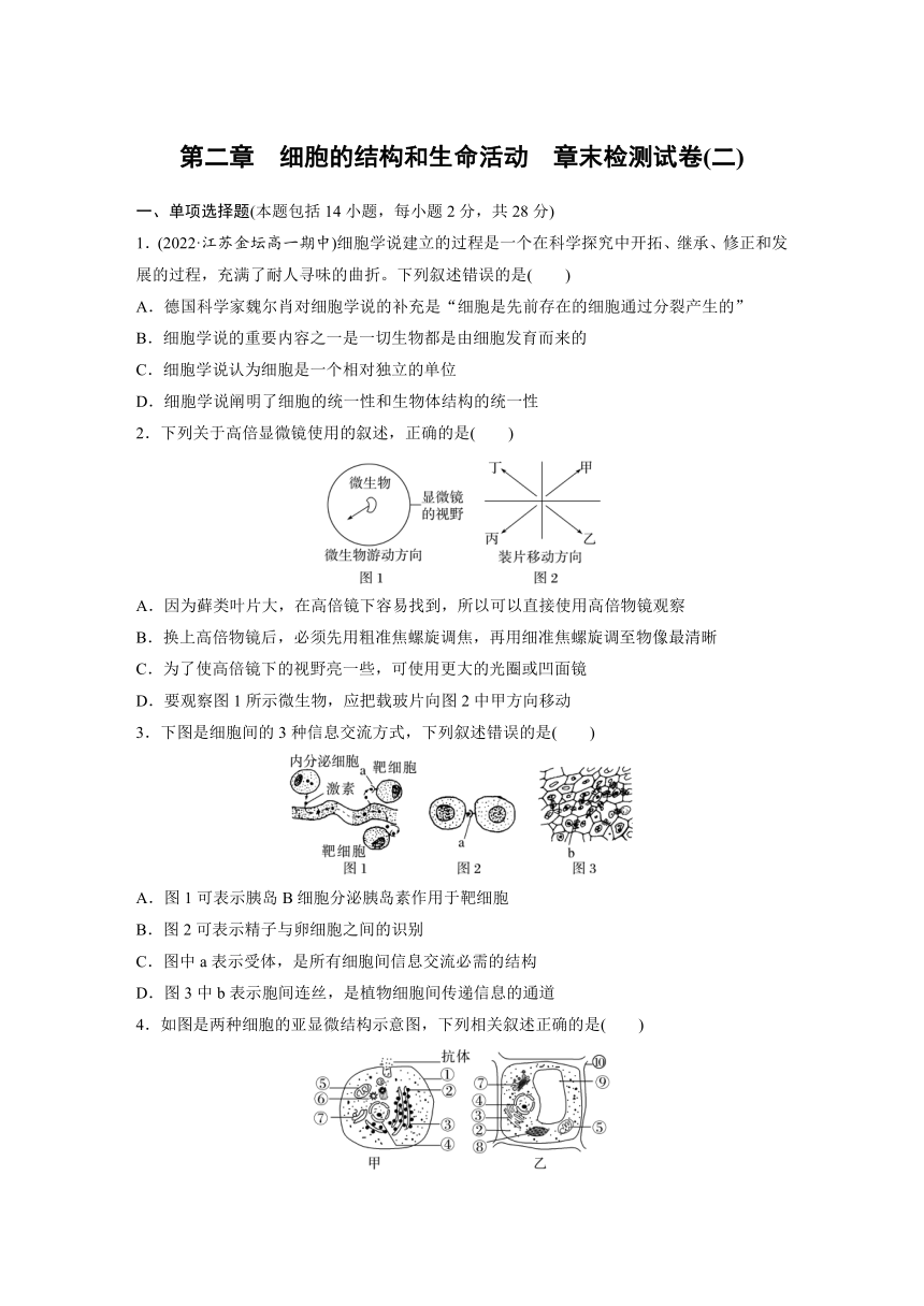 2022-2023学年苏教版2019高中生物必修1 第二章　细胞的结构和生命活动  章末检测试卷(二)（word版含解析）