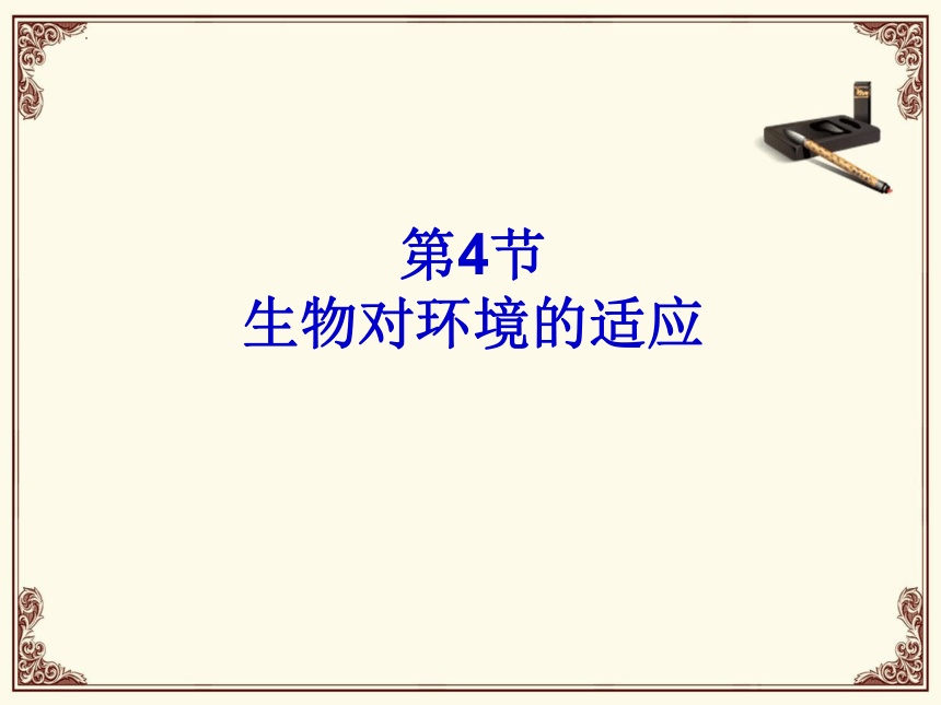 2.2.4生物对环境的适应课件(共23张PPT)2022-2023学年苏科版生物七年级上册