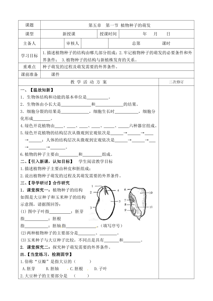 苏教版七年级上册生物：3.5.1植物种子的萌发学案（ 无答案）