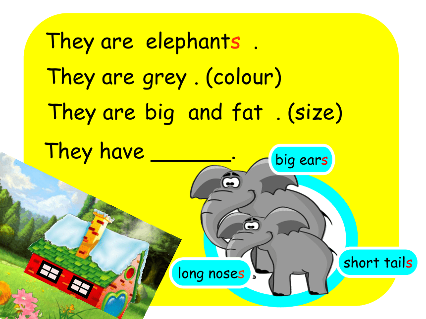 Module 2 Unit 3 Animals I like 课件(共24张PPT)