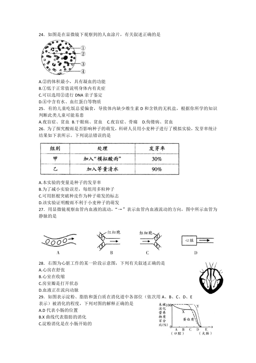 陕西省西安理工大附属中学2022-2023学年七年级下学期期末考试生物试卷（无答案）