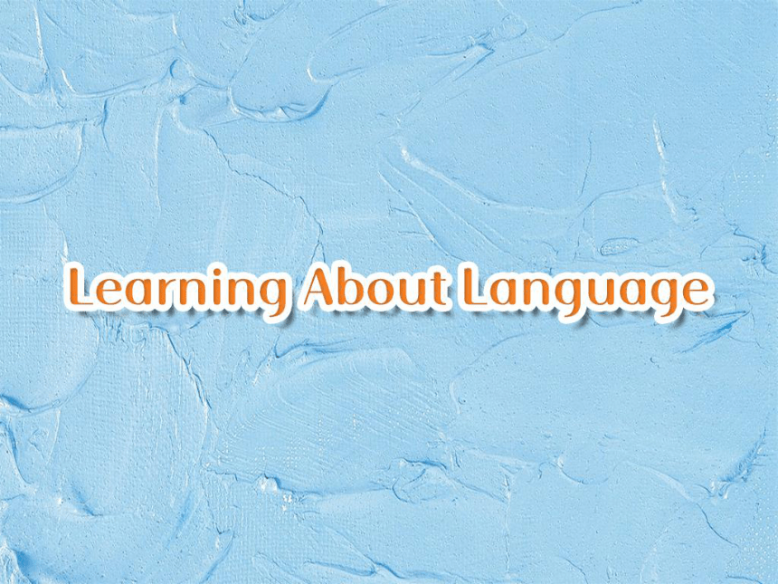 人教版（2019）英语高中选择性必修第一册 Unit 4 Learning about language（12张PPT）
