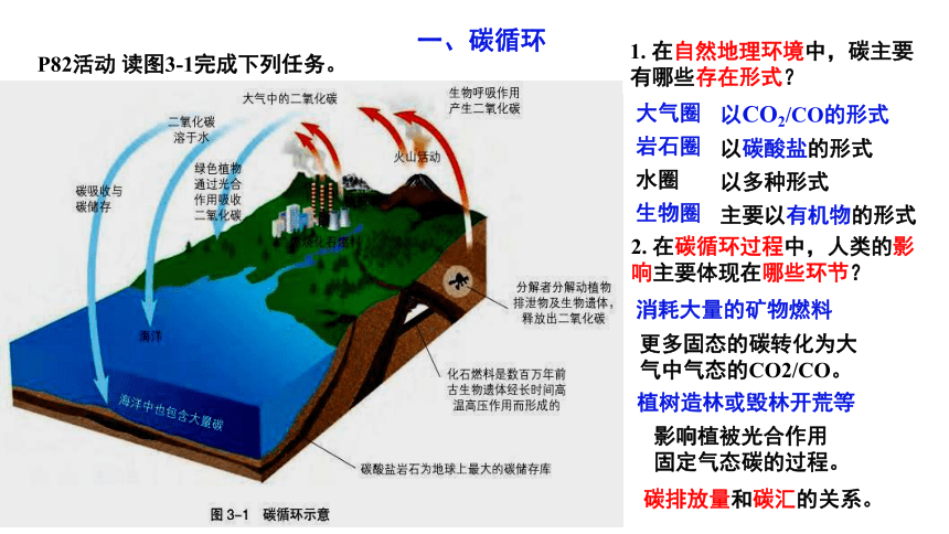 3.1 碳排放与国际减排合作 课件（22张PPT）