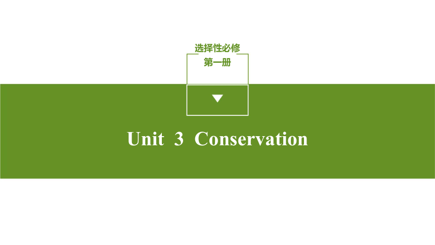 北师大版（2019） 选择性必修第一册 Unit 3 Conservation 单元习题课件 (共143张PPT)