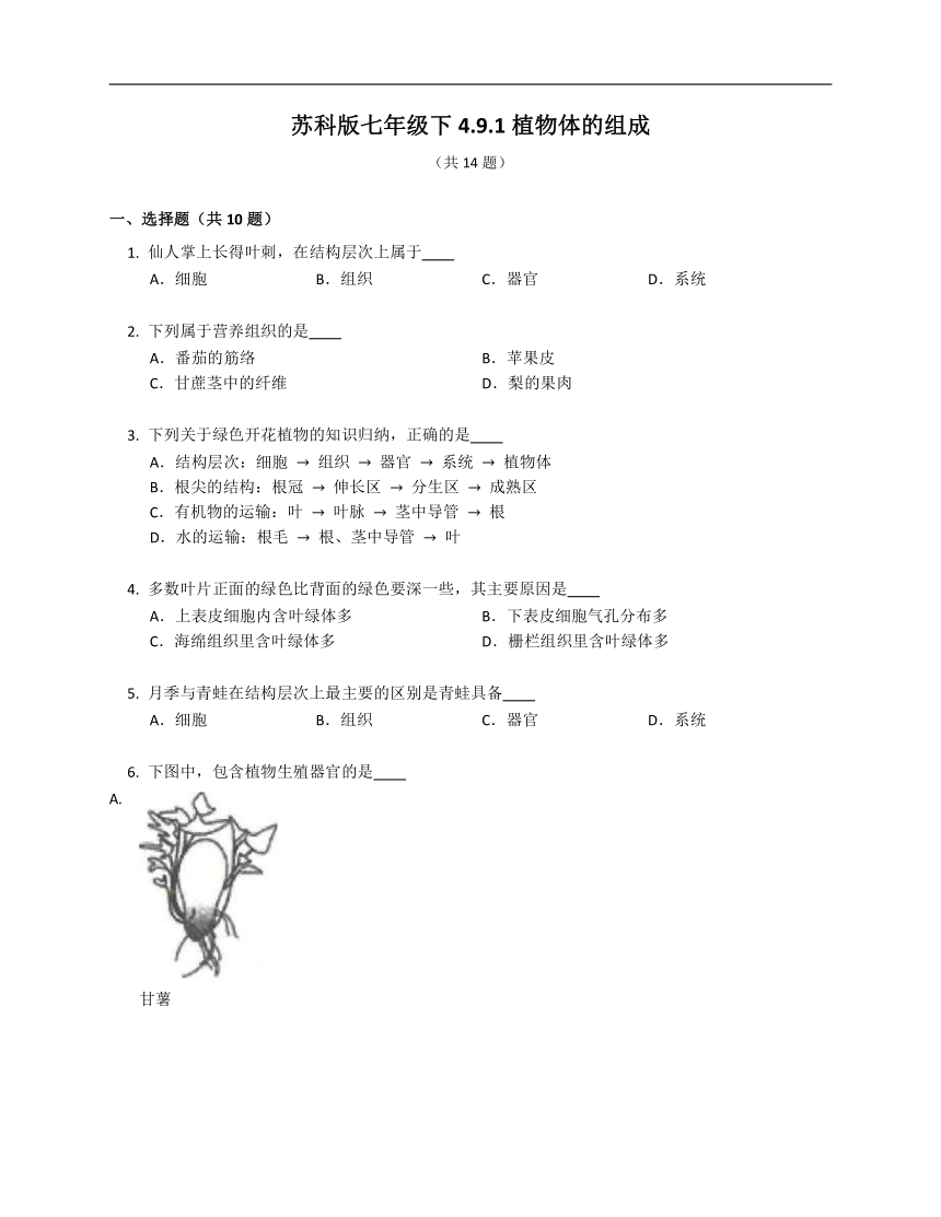 苏科版七年级下4.9.1植物体的组成（含答案）