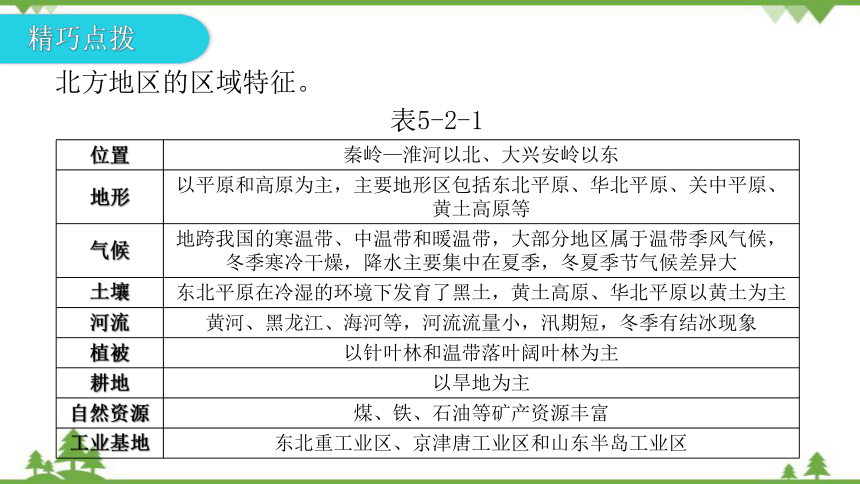 湘教版地理八年级下册 第五章第二节  北方地区和南方地区  第1课时  习题课件(共25张PPT)