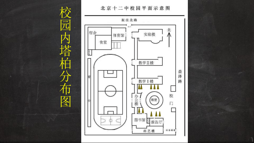 2.7  植被与自然地理环境的关系  课件（共38张幻灯片）