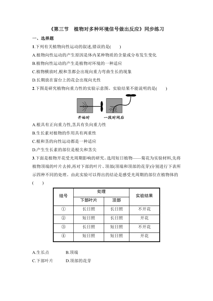 2021-2022学年高二上学期浙科版生物选择性必修1-5.3 植物对多种环境信号做出反应同步练习（Word版含答案带解析）