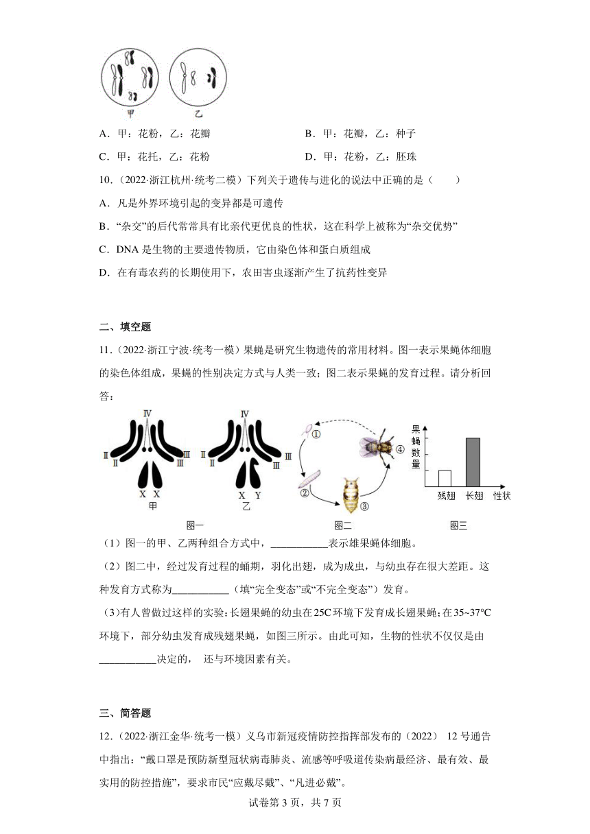 浙江省2022年中考科学模拟题汇编-19遗传与进化（含解析）