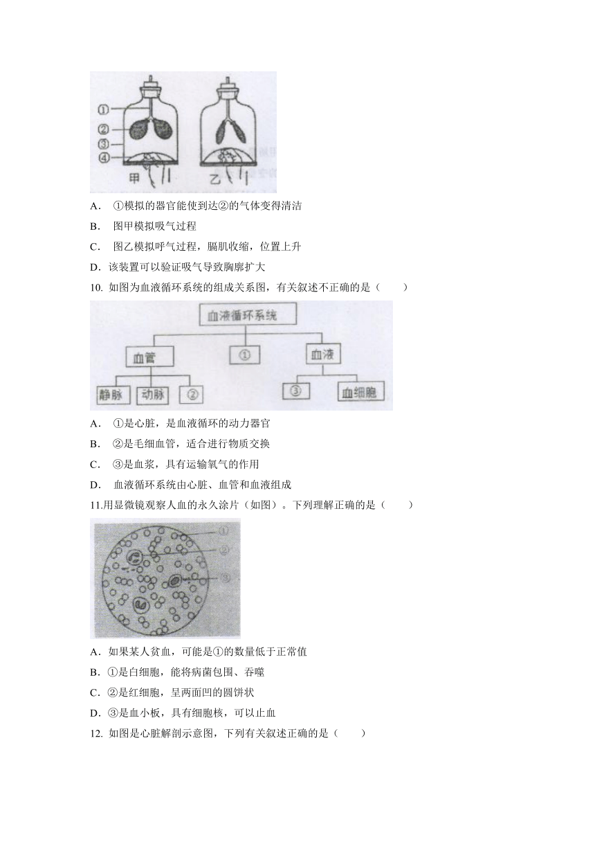 山东省泰安市新泰市2022-2023学年七年级上学期期末生物试题（含答案）