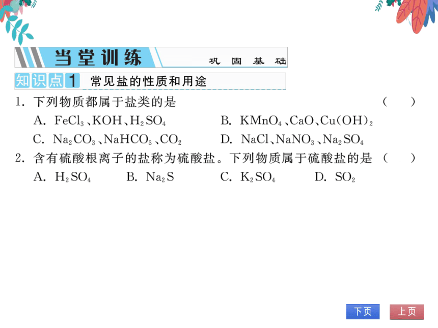 【人教版】化学九年级下册-第十一单元 课题1 第1课时 几种常见的盐 (习题课件)