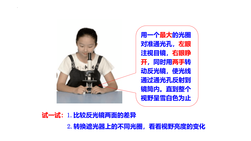 人教版七年级生物上册 2.1.1 练习使用显微镜 2022--2023学年 课件 (共23张PPT)