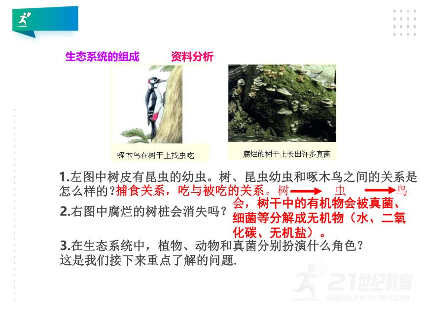 人教版生物七年级上册 1.2.2生物与环境组成生态系统课件（含32张ppt）