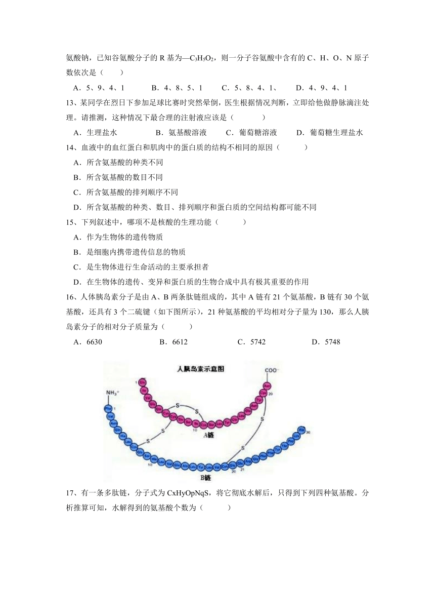 安徽省宿州市十三所重点中学2021-2022学年高一上学期期中考试生物试题（Word版含答案）