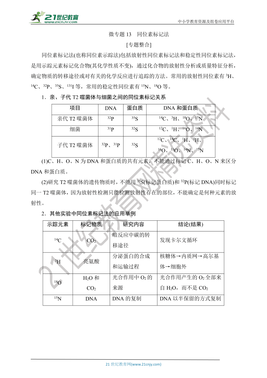 【考点梳理  生物总复习 】40微专题13　同位素标记法