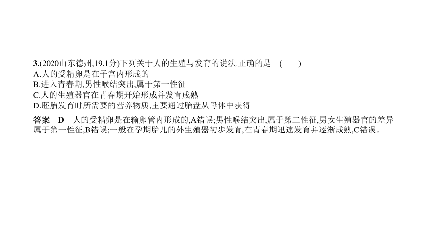 2023年中考生物复习专题★★生物的生殖和发育习题课件（共121张PPT）