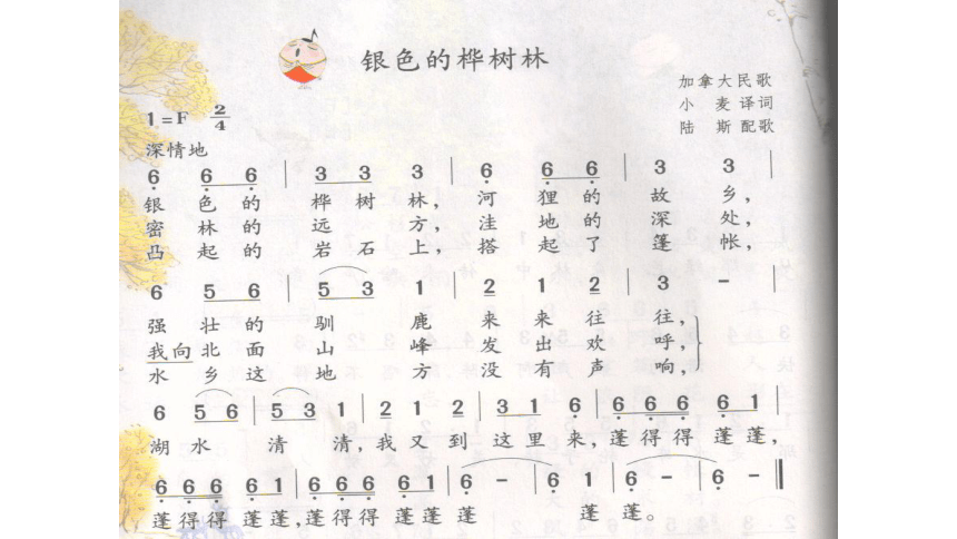 沪教版三年级下册课件银色的桦树林 (共17张PPT)
