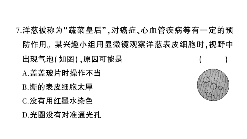 湖南吉首市第二初级中学2022-2023学年七年级生物上册期末综合检测卷课件（41张PPTt)