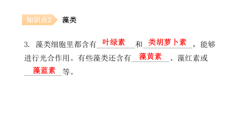 2020-2021学年八年级生物下册（北师大版）22.2  原生生物的主要类群 课件（24张PPT）