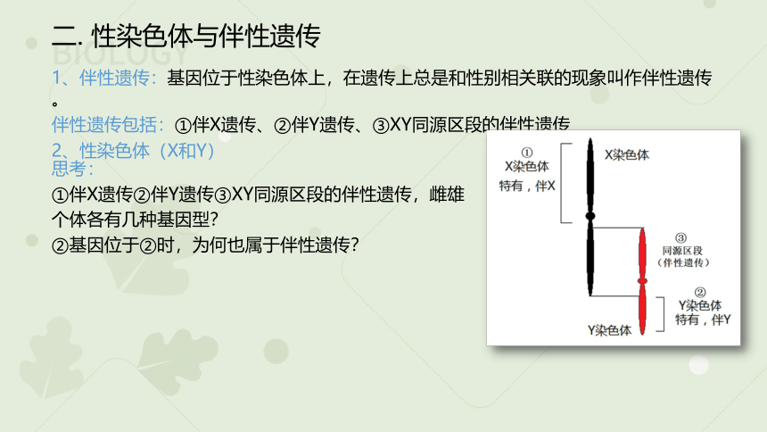 2022-2023学年高一生物人教版（2019）必修二2.3 伴性遗传（教学课件）（24张ppt）