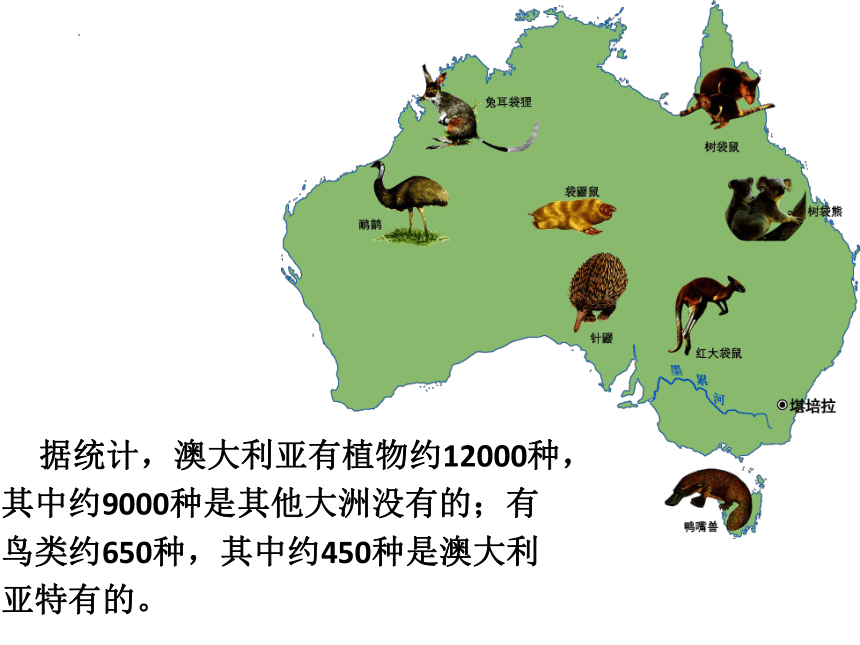 8.4 澳大利亚 课件(共35张PPT) 2022-2023学年人教版地理七年级下册