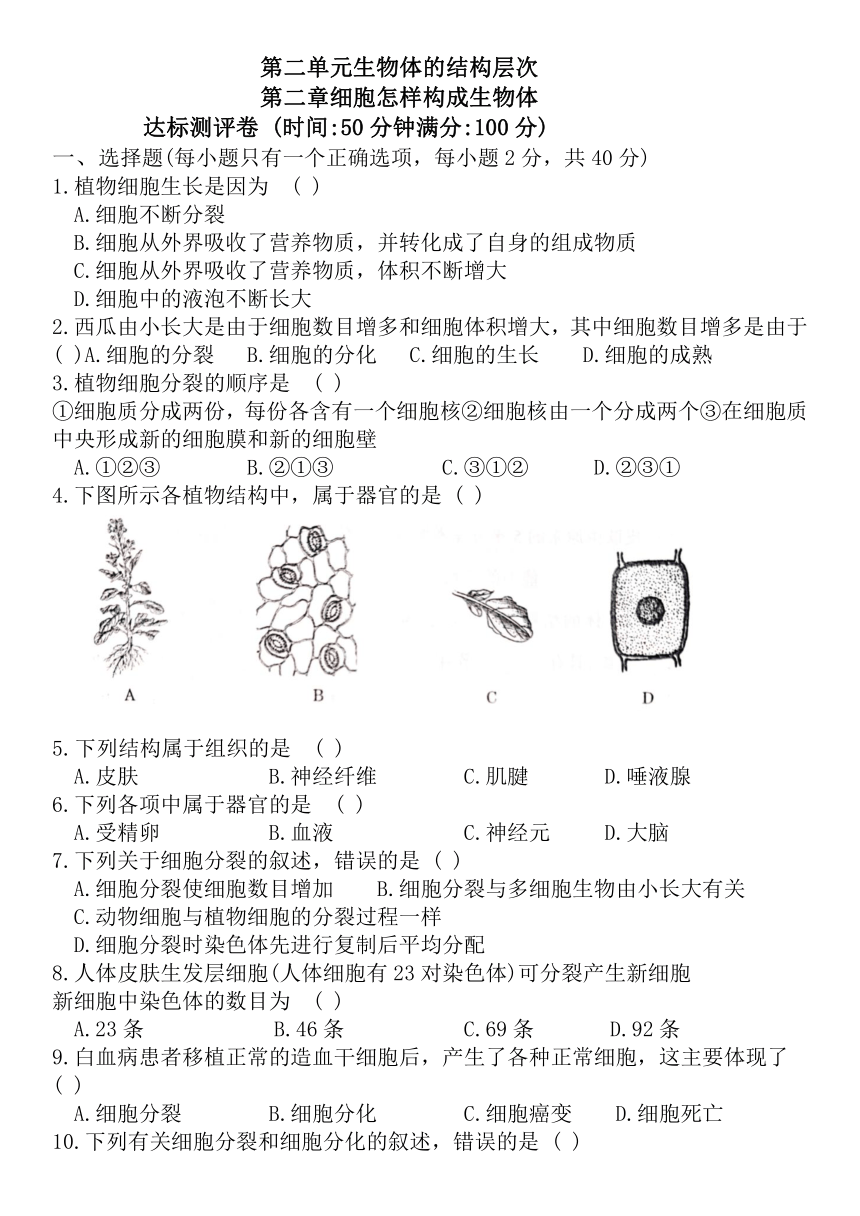 七年级上册生物第二单元细胞怎样构成生物体达标测评卷（人教版含答案）