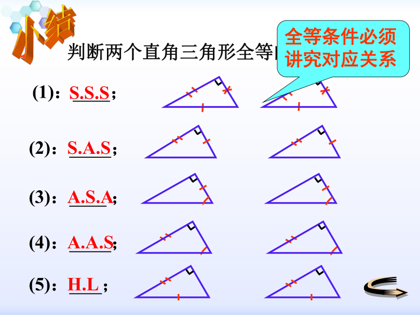 2021-2022学年华东师大版八年级数学上册13.2 .6 三角形全等的判定课件（HL）