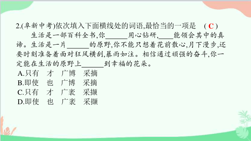 3 短诗五首 习题课件(共25张PPT)