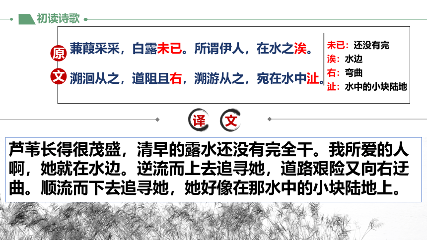 初中语文人教部编版八年级下册12 诗经二首《蒹葭》 课件(共25张PPT)