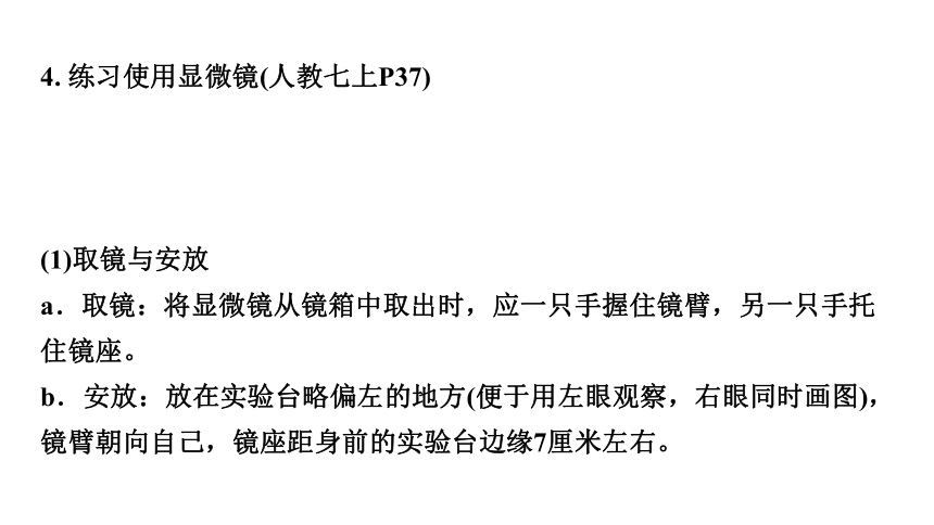 2.1  细胞是生命活动的基本单位期末复习课件(共44张PPT)