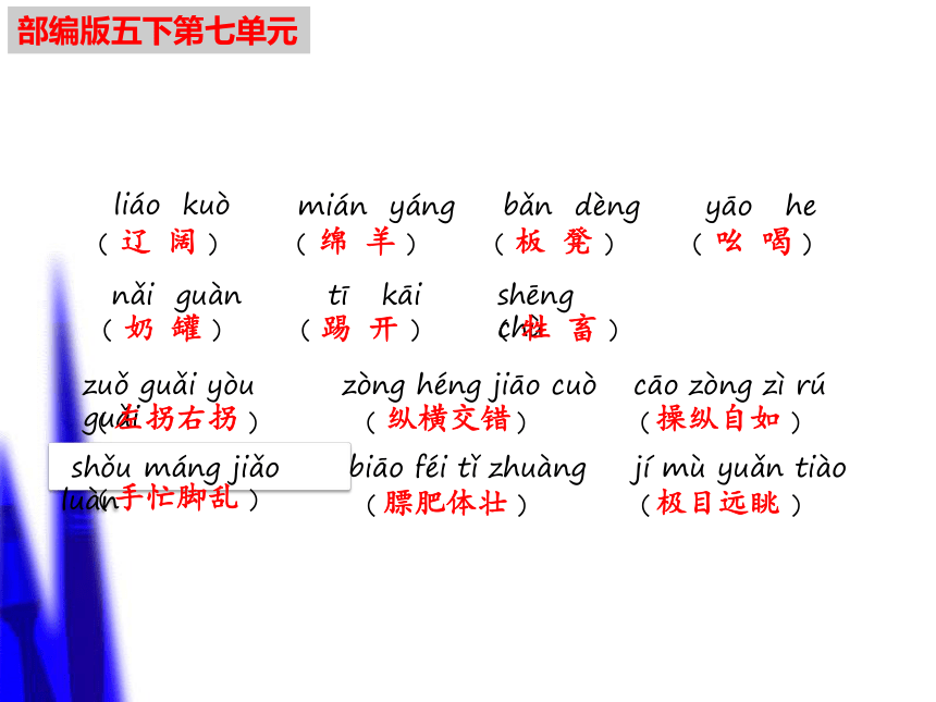 部编版语文五年级下册期末复习第七单元知识点难点闯关课件(共64张PPT)