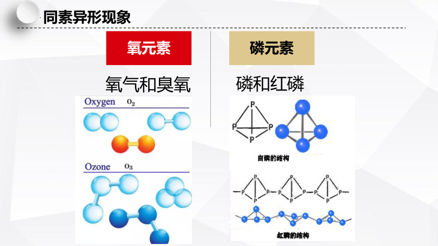 5.3 从微观结构看物质的多样性（19张ppt）高一化学（苏教版2019必修第一册）