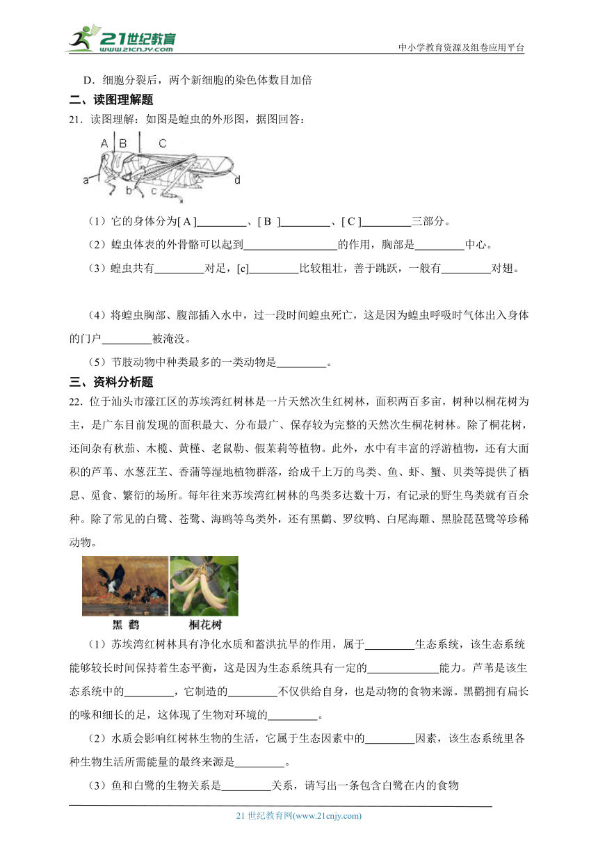 苏科版生物2023年春期七下期末质量评估检测题2（含解析）