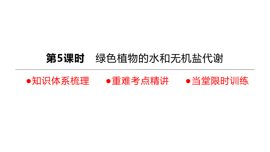 2022年浙江省中考科学一轮复习 第05课时　绿色植物的水和无机盐代谢（课件 34张PPT）