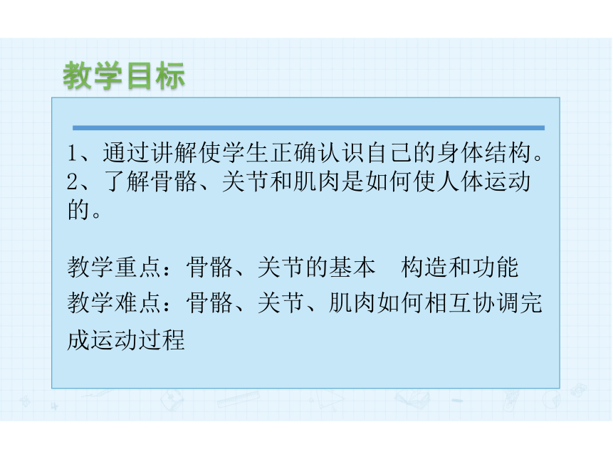 人教版初中体育与健康 九年级-第1章 人体与运动 (共19张PPT)