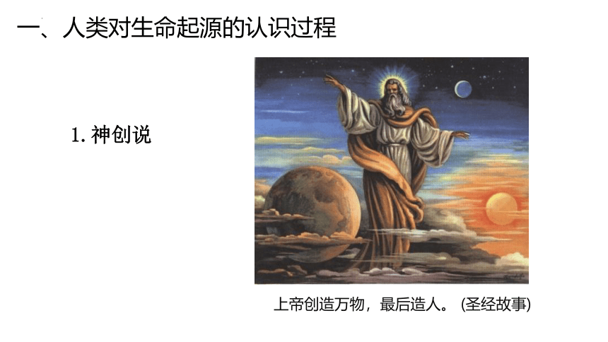 16.1  生命的诞生  课件(共23张PPT)2022-2023学年苏教版生物八年级上册