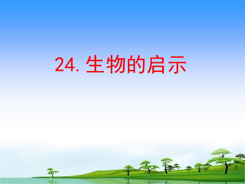 青岛版（五四制2017秋）四年级下学期科学7.24生物的启示（课件19张PPT)