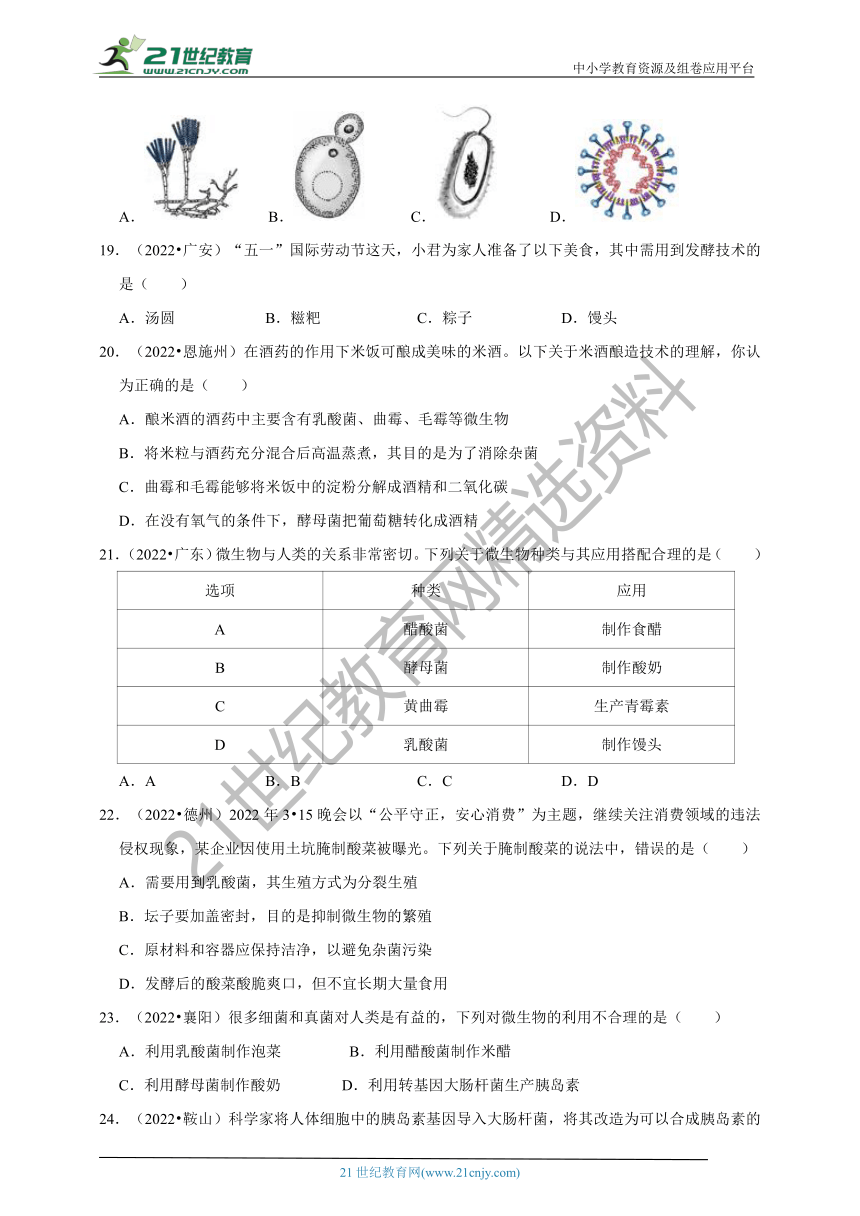 【备考2023】2022年中考生物真题分类汇编16——生物技术部分（含解析）